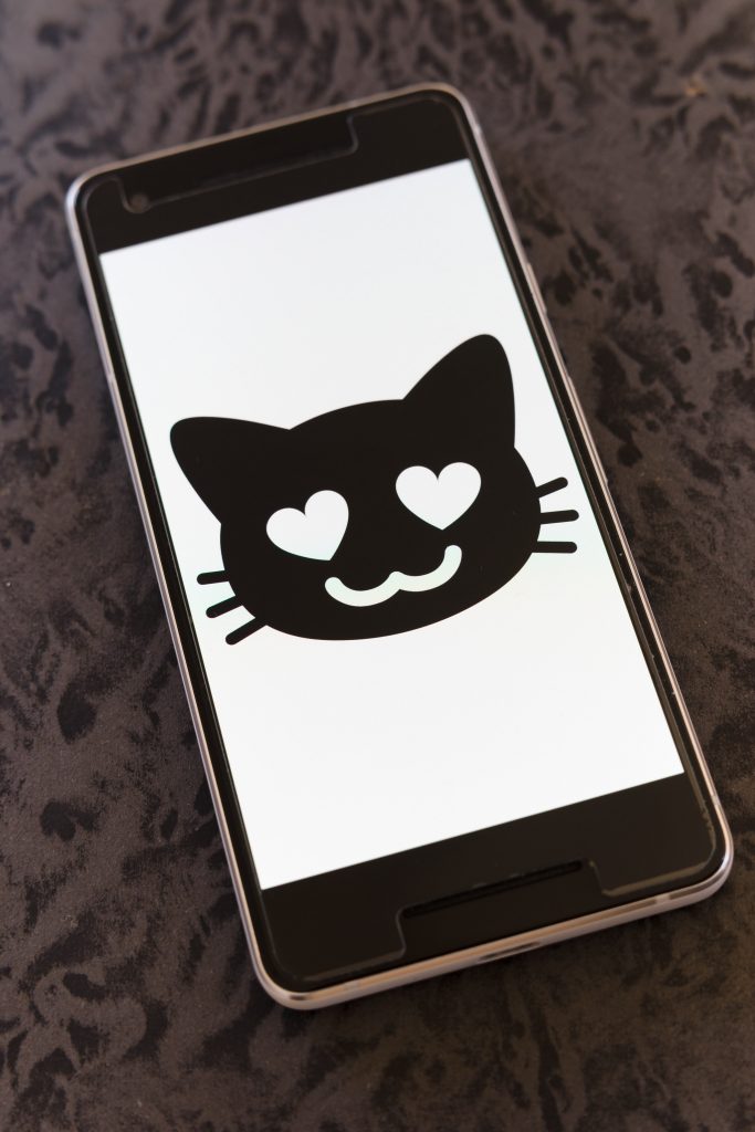 cat emoji on the phone
